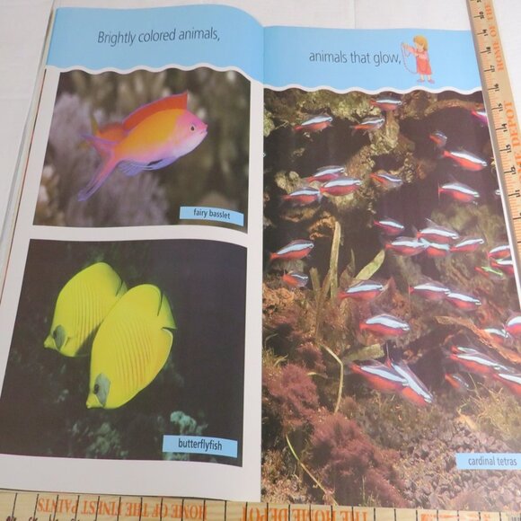 Under the Sea  BIG BOOK (almost 2 feet tall) with teacher pages CLASSROOM SIZE - Picture 4 of 12